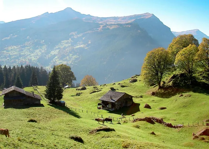 Abendrot Apartments-25 By Interhome *